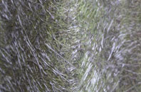 Wellington Hill fibreglass roof work